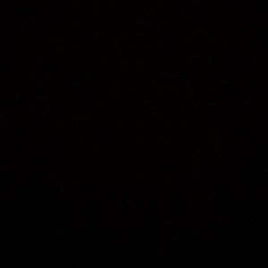 Meet your Posher, Lavinia